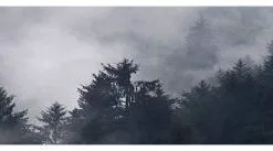 Aphex Strap -Ski Bag Shop aphex strap fogpine one size fogpine 0